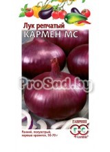 Лук репчатый Кармен МС
