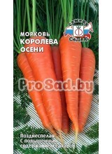 Морковь Королева осени