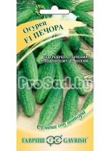 Огурец F1 Печора