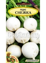 Редис Снежка (Польша))