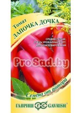 Томат Лапочка дочка
