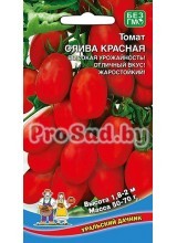 Томат Слива красная