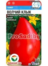 Томат Волчий клык