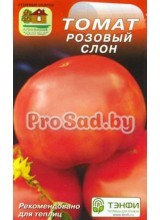 Томат Розовый слон