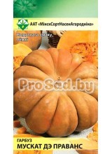 Тыква Мускат де Прованс