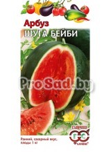 Арбуз Шуга бейби
