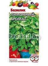 Базилик Лимонный аромат