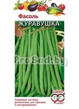 Фасоль спаржевая Журавушка