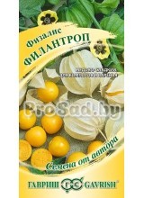 Физалис Филантроп