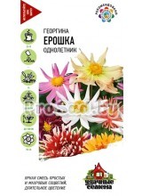 Георгина Ерошка, смесь