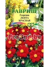 Георгина Лента красная