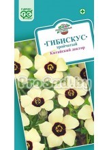 Гибискус тройчатый Китайский доктор