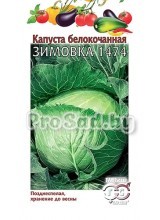 Капуста белокочанная Зимовка 1474