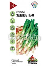 Лук на зелень Зелёное перо