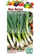 Лук батун Здоровяк