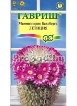 Маммиллярия Бакеберга (Кактус) Летиция