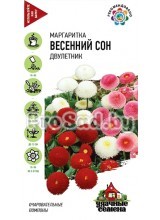 Маргаритка Весенний сон, смесь