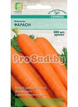 Морковь Фараон