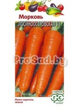 Морковь Лосиноостровская 13