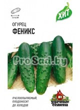 Огурец Феникс 640