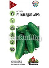 Огурец F1 Клавдия Агро