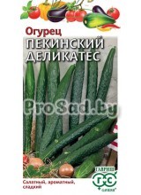 Огурец Пекинский деликатес
