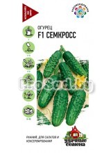 Огурец F1 Семкросс