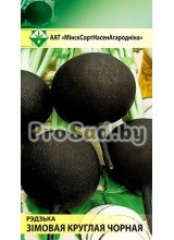 Редька Зимняя круглая чёрная
