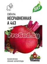 Свекла Несравненная А 463