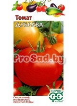 Томат Дубрава