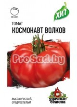 Томат Космонавт Волков