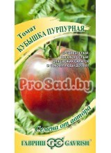 Томат Кубышка пурпурная