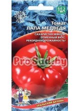 Томат Лапа Медведя