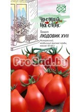 Томат Людовик XVII