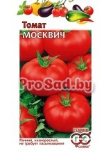 Томат Москвич