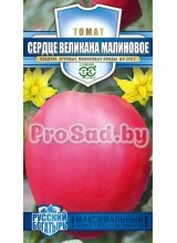 Томат Сердце великана Малиновое