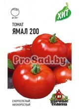 Томат Ямал 200
