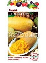 Тыква Спагетти