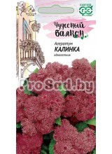 Агератум Калинка