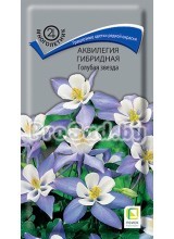 Аквилегия гибридная Голубая звезда