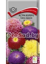 Астра Болеро Смесь окрасок