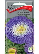 Астра помпонная Суприм лавандовая