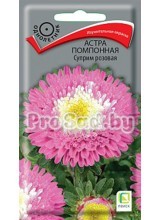 Астра помпонная Суприм розовая