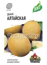 Дыня Алтайская
