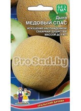 Дыня Медовый Спас