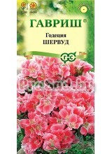 Годеция махровая Шервуд