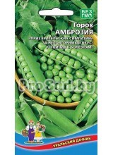 Горох Амброзия