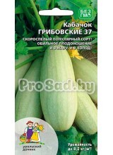 Кабачок Грибовские 37