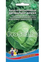 Капуста белокочанная Дитмаршер Фрюер