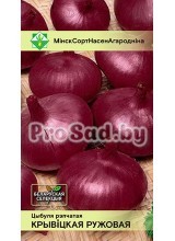 Лук репчатый Крывіцкі ружовы / Кривичский розовый